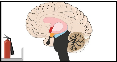 Psychology: The science of being human