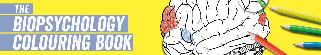 yellow background, white brain image, colouring pencils and text: "the biopsychology colouring book"